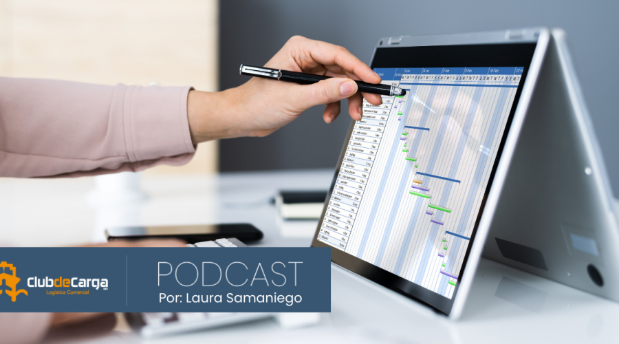 Implementación de servicios de gestión y software en la logística