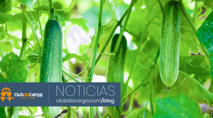 Estados Unidos define si aplicara o no salvaguardas a productos mexicanos