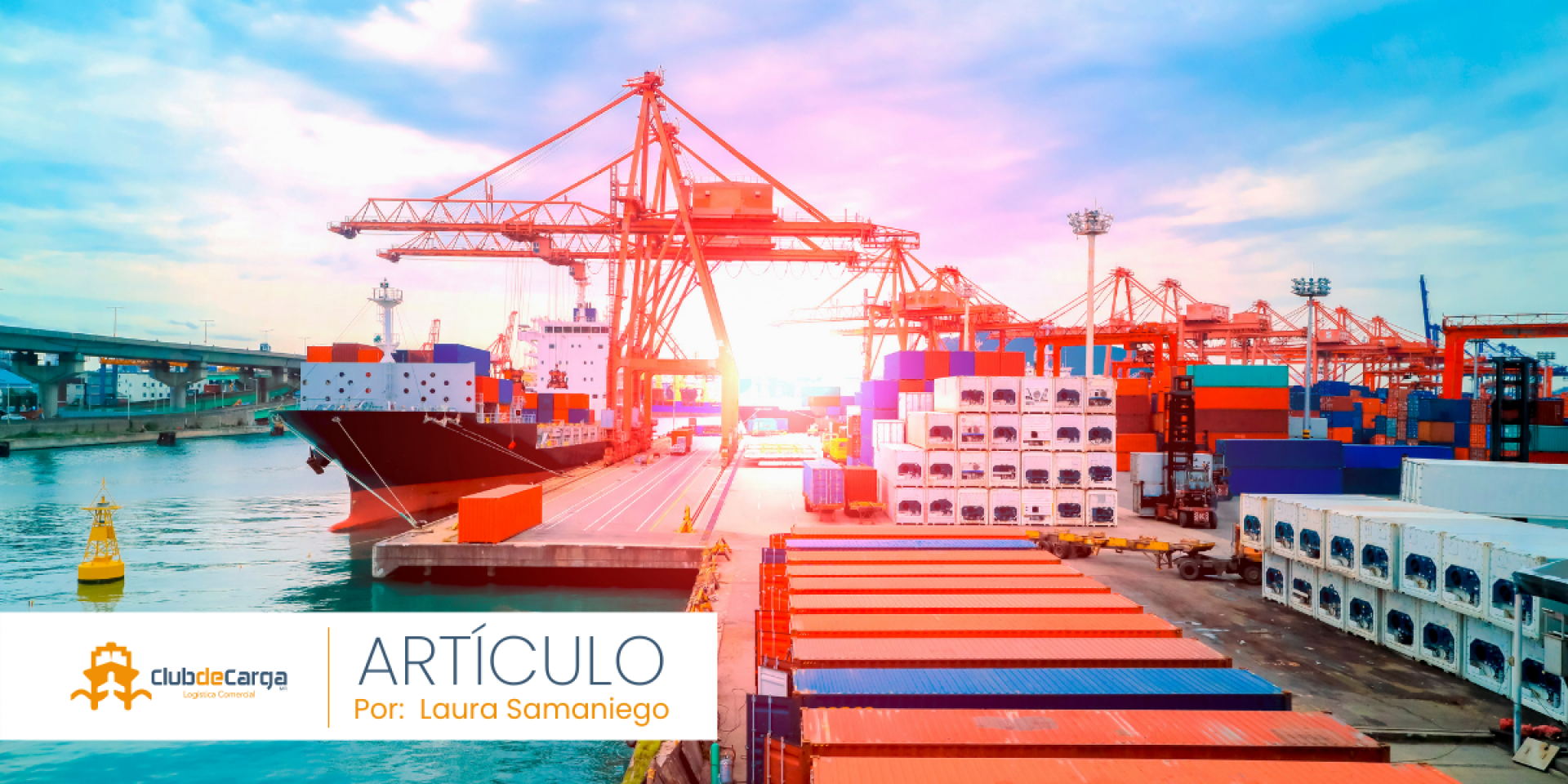 Modernización logística, aspectos claves del sistema Puerto Inteligente Seguro