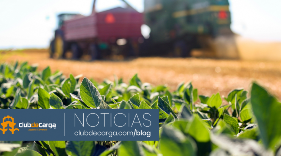 El sector agropecuario y agroindustrial al alza